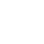 Security Icon